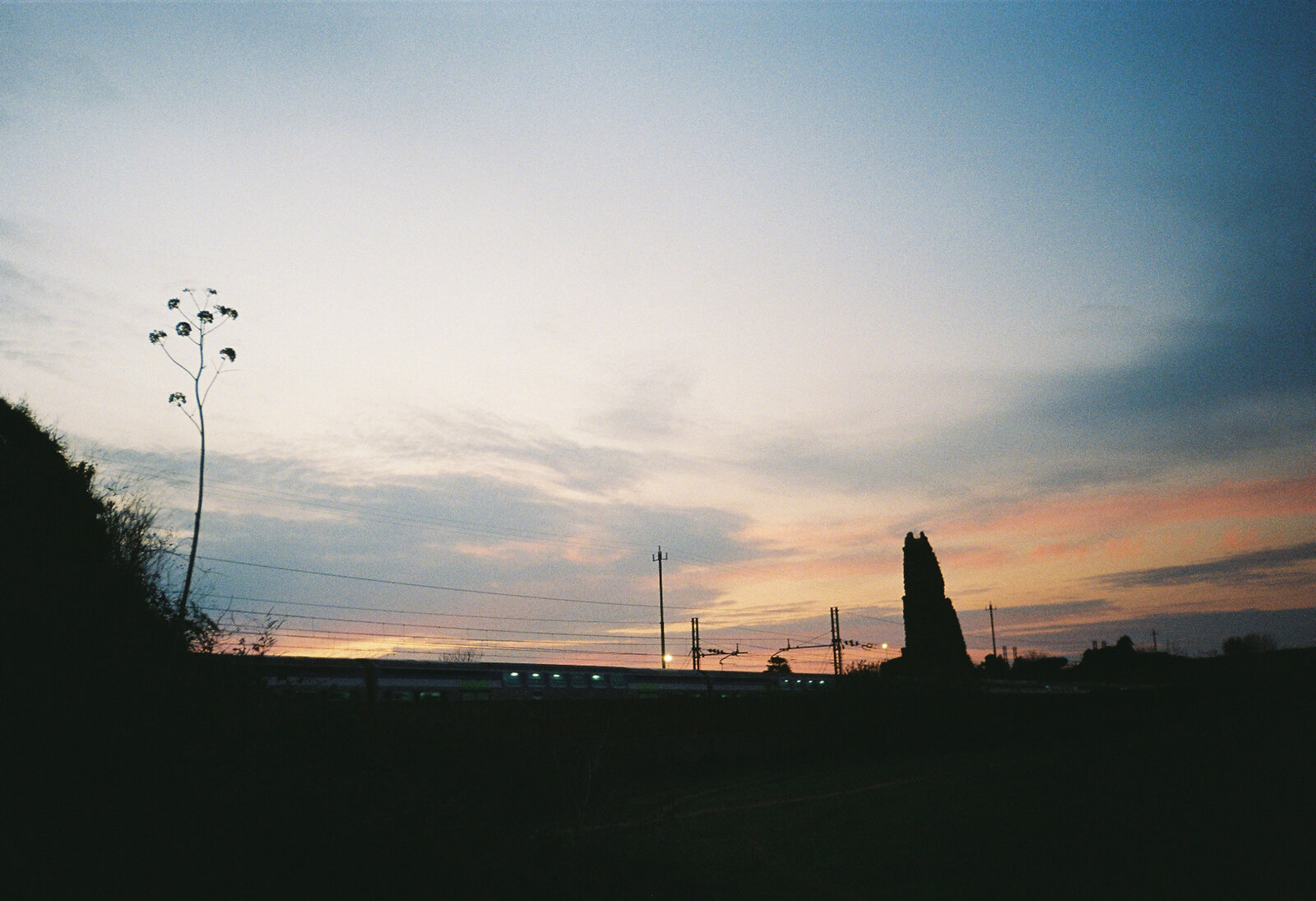 An agave plant silhouetted against a gradient dusk sky